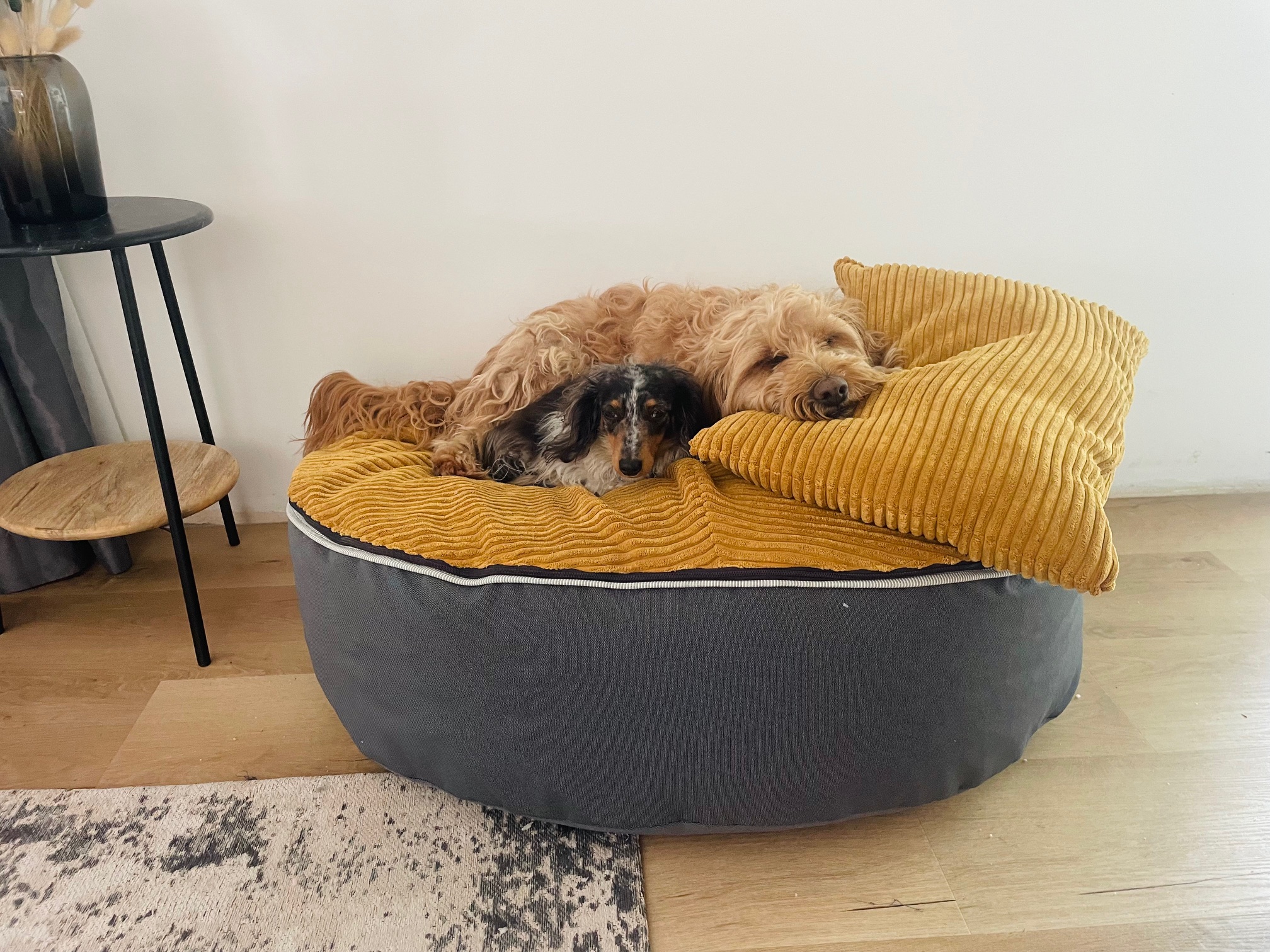 Pet Pod - Chunky Cord