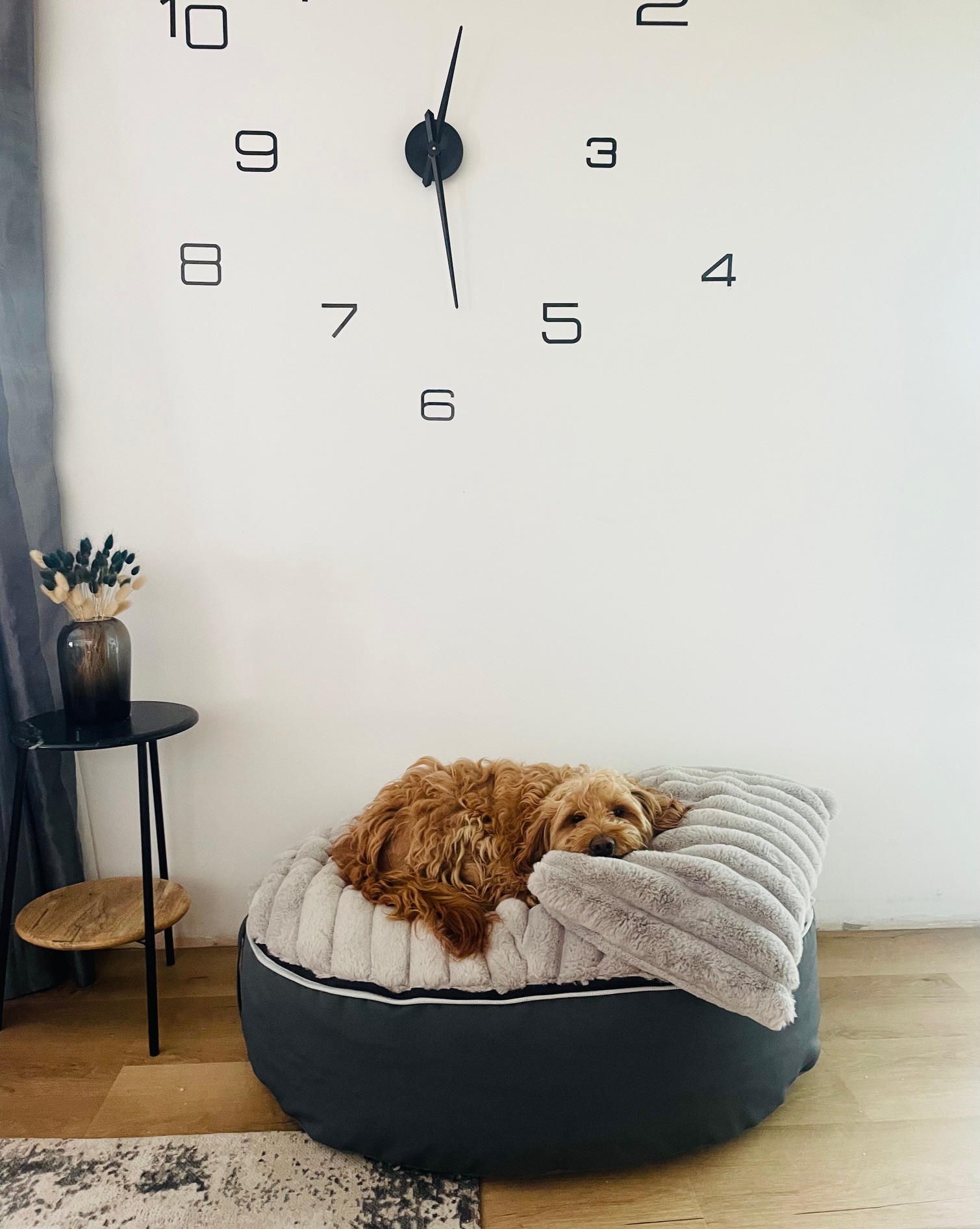 Pet Pod - Fur rib